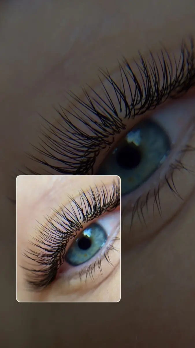 Beautiful Lashes